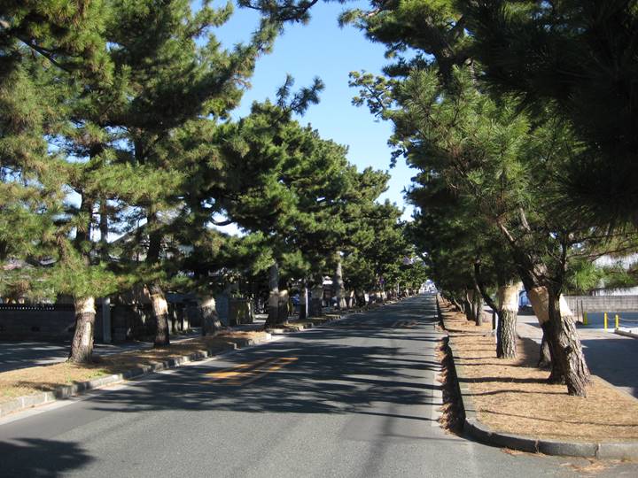 伊勢神宮自転車お参り探検記