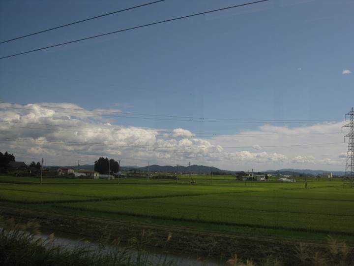 今日も同じ風景の連続