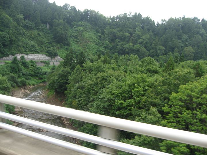 緑に囲まれた高速道路！！