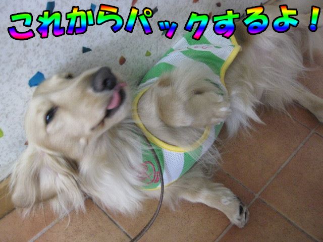 あまったれ~(^u^);;;いや~だぴょん!!