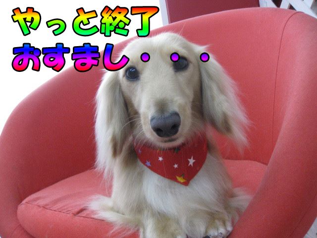 きれいになったでしょ~???