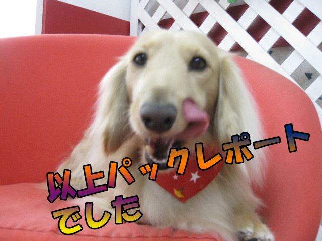 きらきら~☆彡