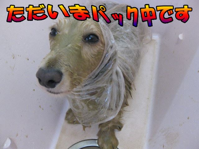 以前に「E.T」みたい・・・と言われました。