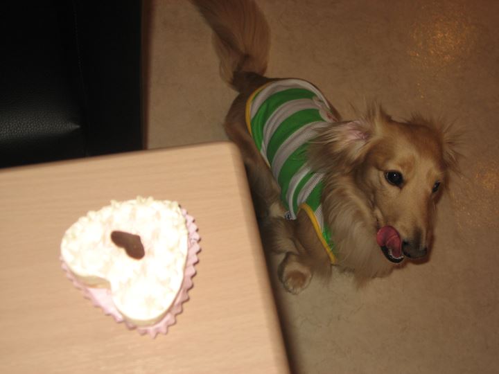 立派なお誕生日ケーキ☆彡