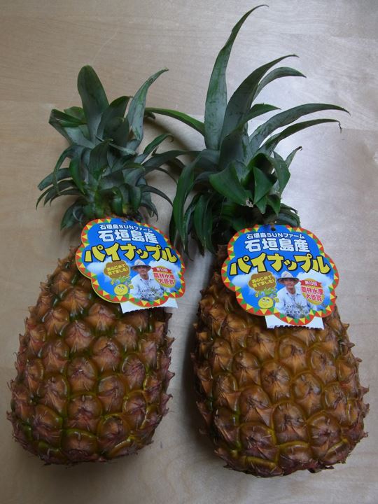 沖縄からパイナップル