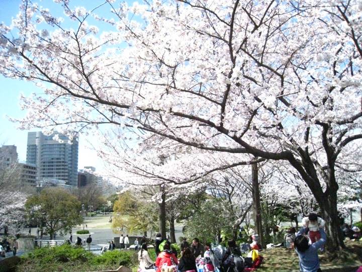 山下公園にて