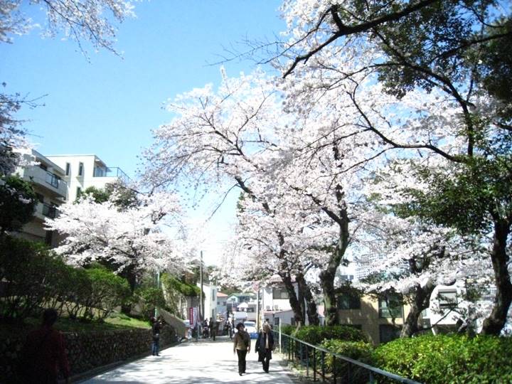 元町公園プール近くから撮影