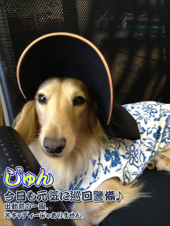 隊長