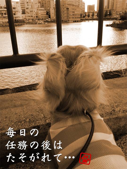 おつかれさん・・・・・ 帰って軽く一杯やるかな…