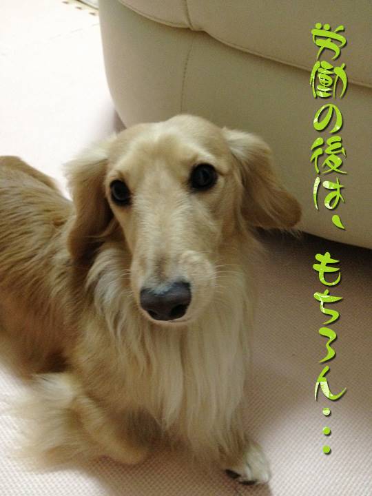 休憩 1