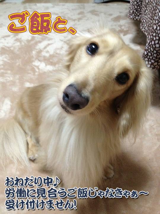 休憩 2