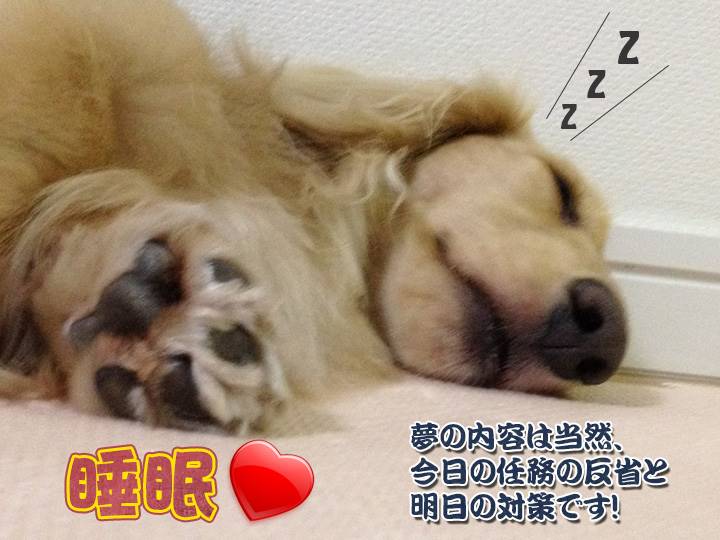 休憩 3