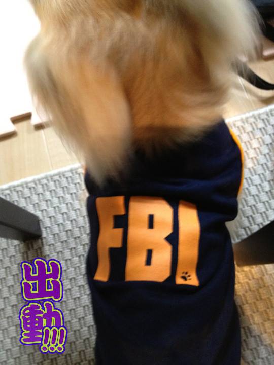 FBIパトロール中 (Fujimura Bureau of Investigation )