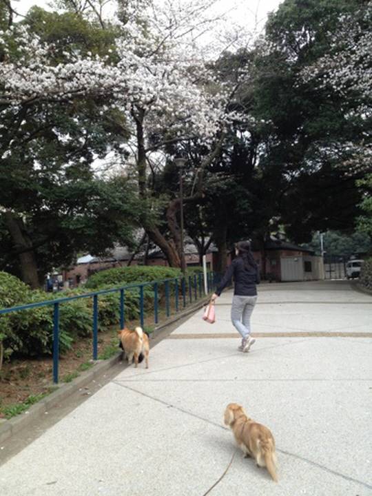 ご近所のリュウ君にも会いました！