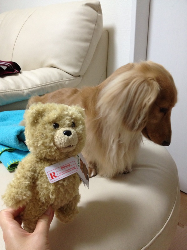 ted は余り好きじゃない。