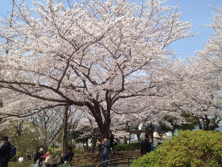 港の見える丘公園より