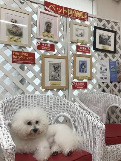 看板犬、もじゃるまる君