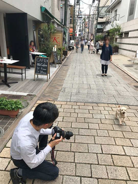 写真素材の撮影