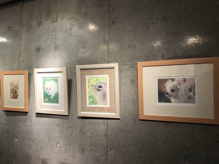 「ペット肖像画 受注会2018」開催中のギャラリー