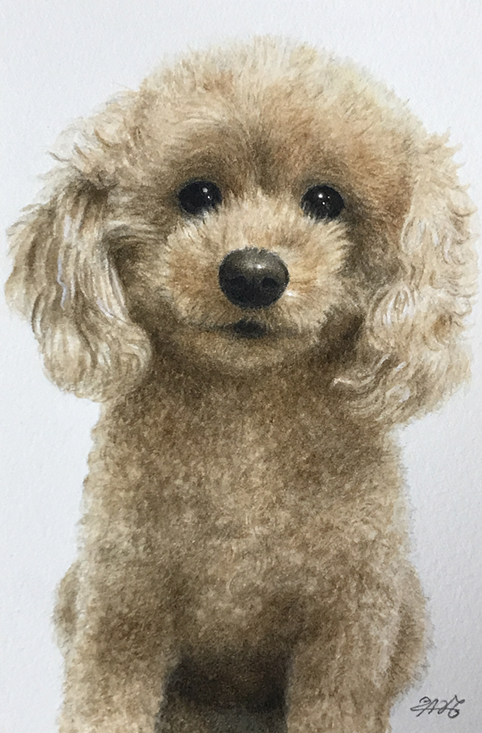 ペット肖像画(水彩画)