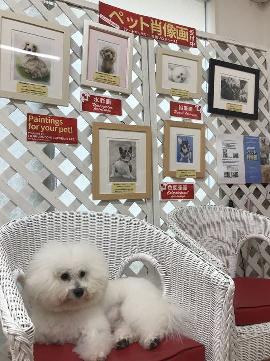 「ドッグケアハウス」店内写真