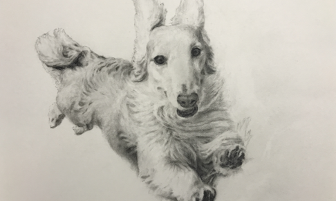 【ペット肖像画 作品例】コンテ擦筆画：ミニチュアダックス