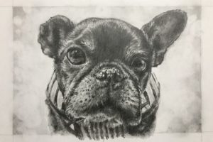 【ペット肖像画 作品例】鉛筆画1：フレンチブルドッグ