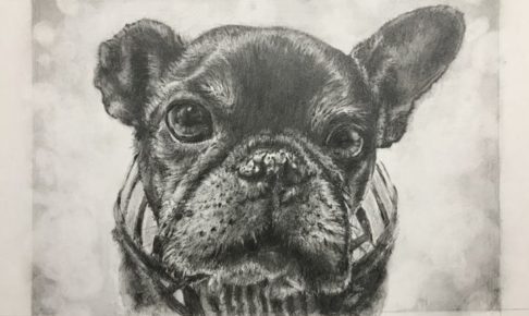 【ペット肖像画 作品例】鉛筆画1：フレンチブルドッグ