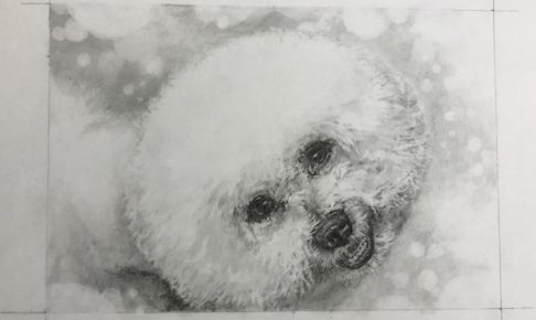 鉛筆画☆その2.　ビションフリーゼ　もじゃる丸