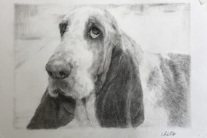 ペット肖像画：コンテ擦筆画