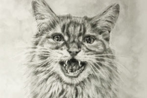 ペット肖像画：鉛筆画