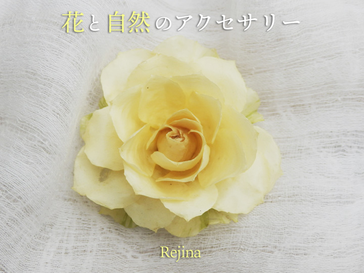 レンタルギャラリー企画：Rejina『花と自然のアクセサリー』の案内はがき