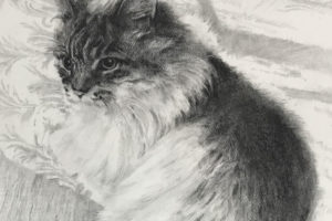 ペット肖像画：コンテ擦筆画