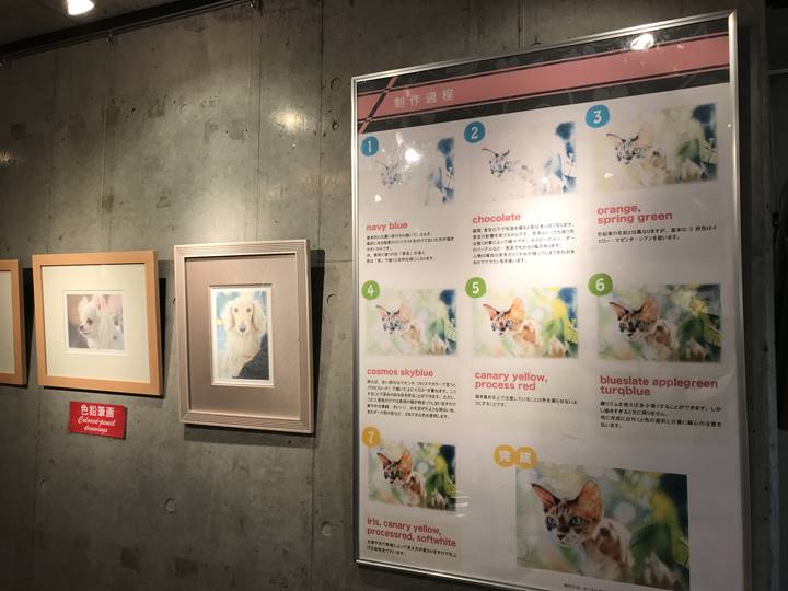 ペット肖像画 受注キャンペーンのギャラリーの様子