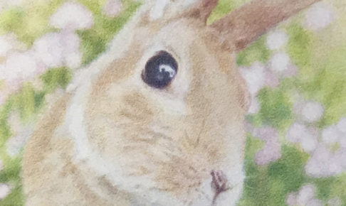 【ペット肖像画 作品例】色鉛筆画