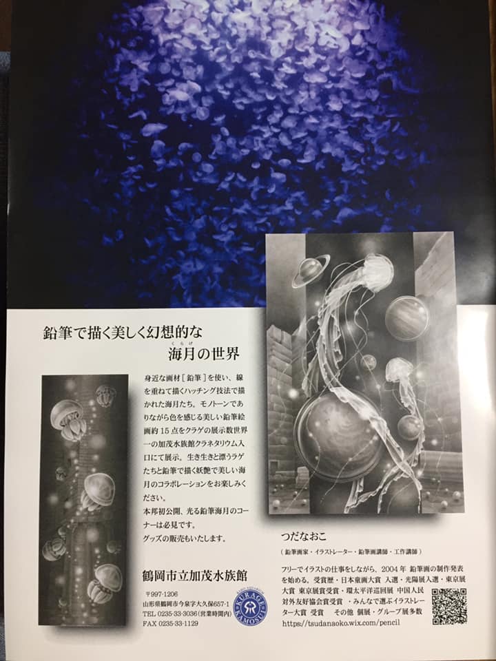 鶴岡市立加茂水族館（クラゲ水族館）で開催される、つだなおこ画伯による「鉛筆海月」展のPOP