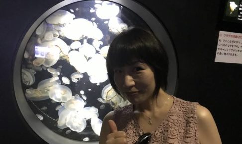 鶴岡市立加茂水族館（クラゲ水族館）で開催される、つだなおこ画伯による「鉛筆海月」展のPOP