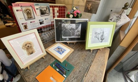 スターチャイルドさんで店頭設置しているペット肖像画の見本作品