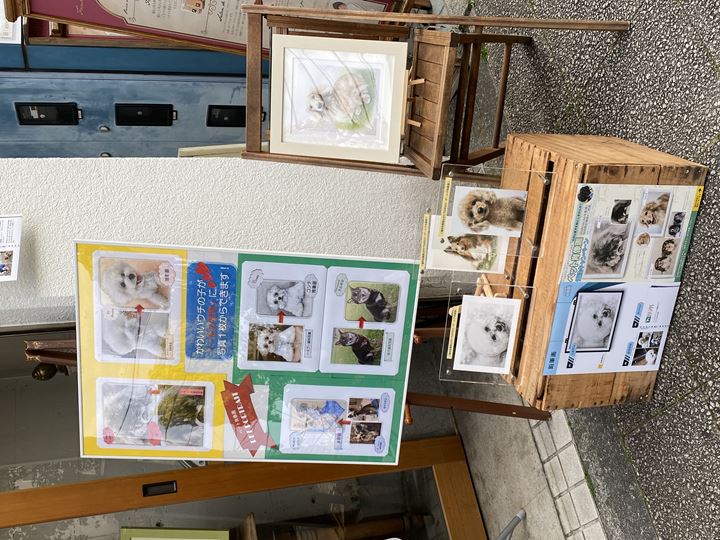 スターチャイルドさんで店頭設置しているペット肖像画の見本作品