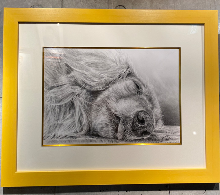 ペット肖像画(鉛筆画)の完成作品写真