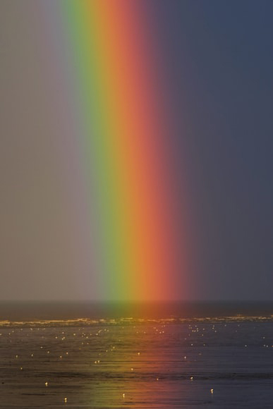 ハワイの虹の写真