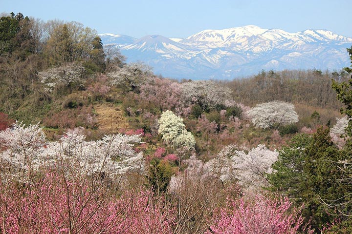 福島県の写真