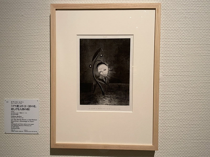 オディロン・ルドン 『ゴヤ讃』より(2)《沼の花、悲しげな人間の顔》の作品写真