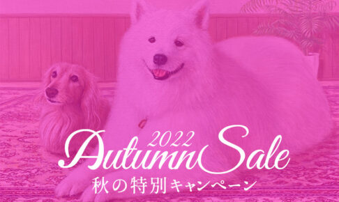 ペット肖像画製作所 秋の特別キャンペーン2022のアイキャッチ画像
