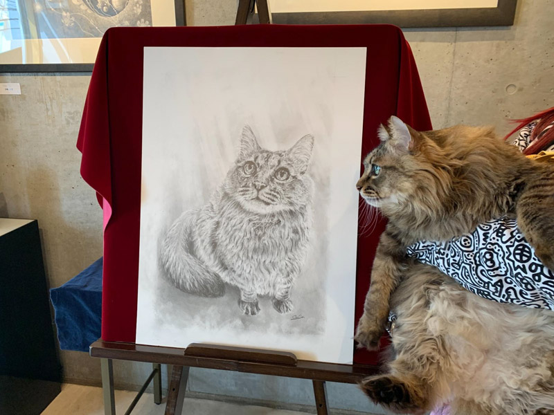 本人の肖像画を眺める猫ちゃん
