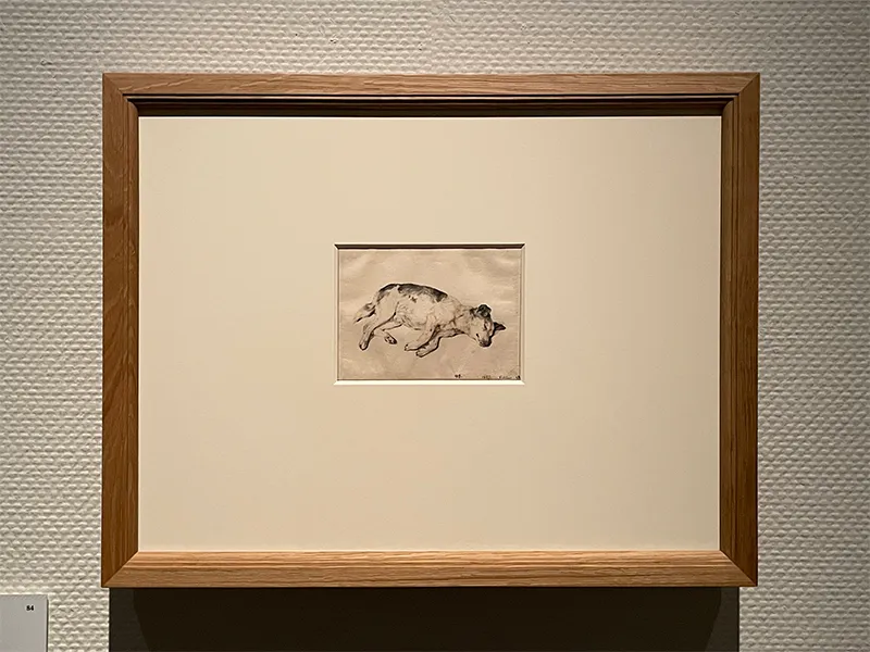 「スウェーデン国立美術館素描コレクション展―ルネサンスからバロックまで(国立西洋美術館)」の展覧会写真