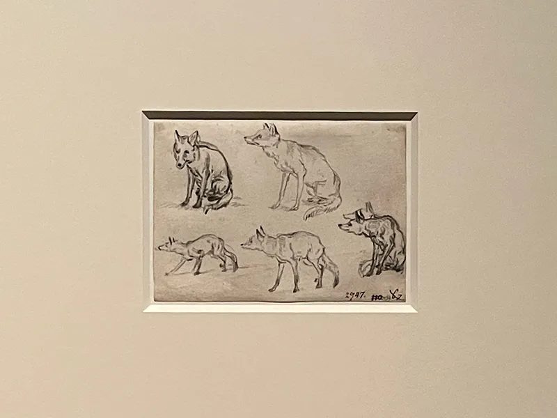 「スウェーデン国立美術館素描コレクション展―ルネサンスからバロックまで(国立西洋美術館)」の展覧会写真