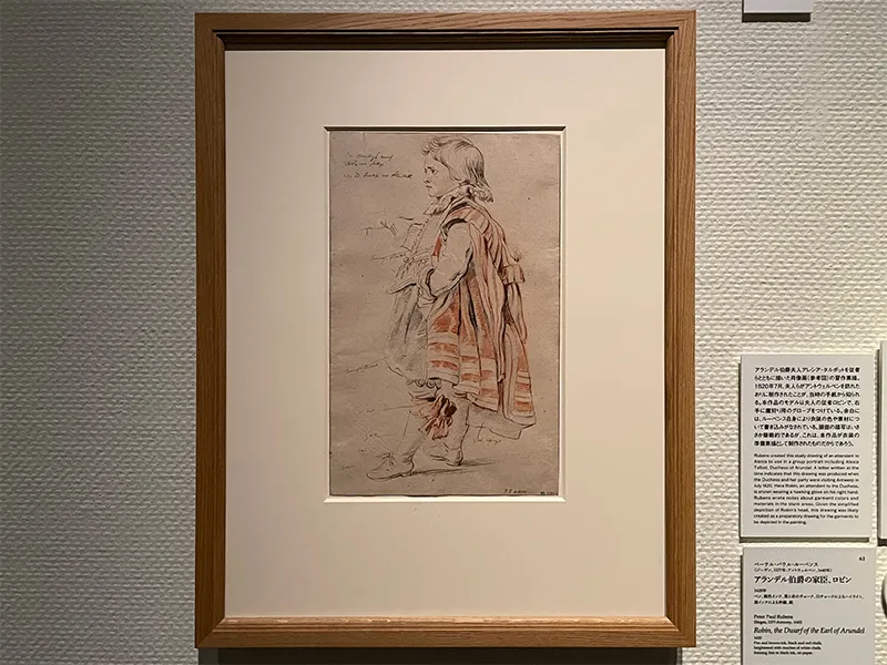 ペーテル・パウル・ルーベンス《アランデル伯爵の家臣、ロビン》1620年 ペン、褐色インク、黒と赤のチョーク、白チョークによるハイライト、黒インクによる枠線、紙 スウェーデン国立美術館蔵
