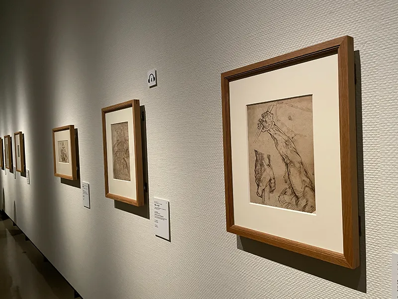 「スウェーデン国立美術館素描コレクション展―ルネサンスからバロックまで(国立西洋美術館)」の展覧会写真