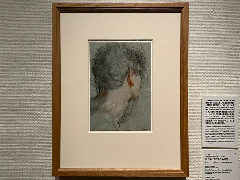 「スウェーデン国立美術館素描コレクション展―ルネサンスからバロックまで(国立西洋美術館)」の展覧会写真